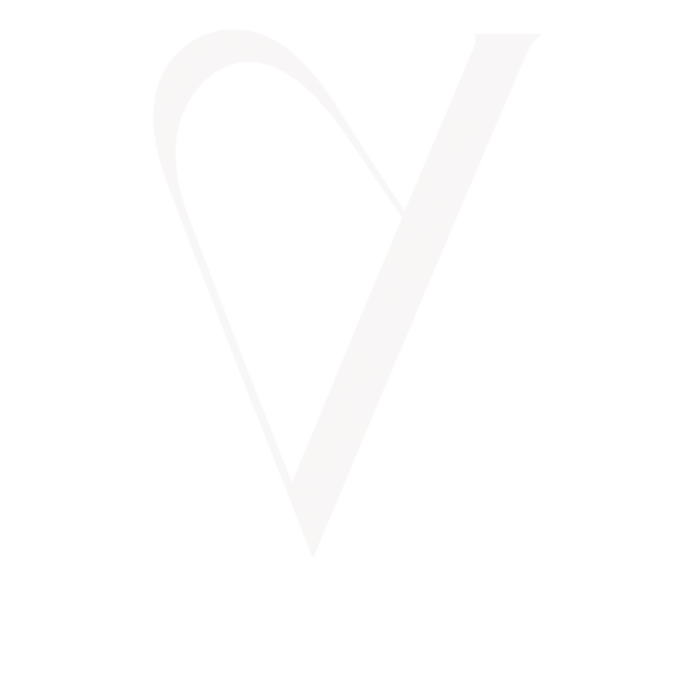 VILDA TRADE Logo
